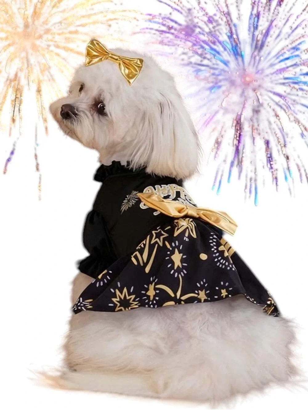 NWOT Happy New Year Gold Dog Dress Costume